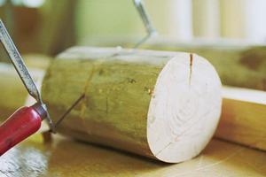 フラワーキーパーを購入するなら