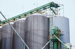 姫路にあるプロフェッショナルなタンナー